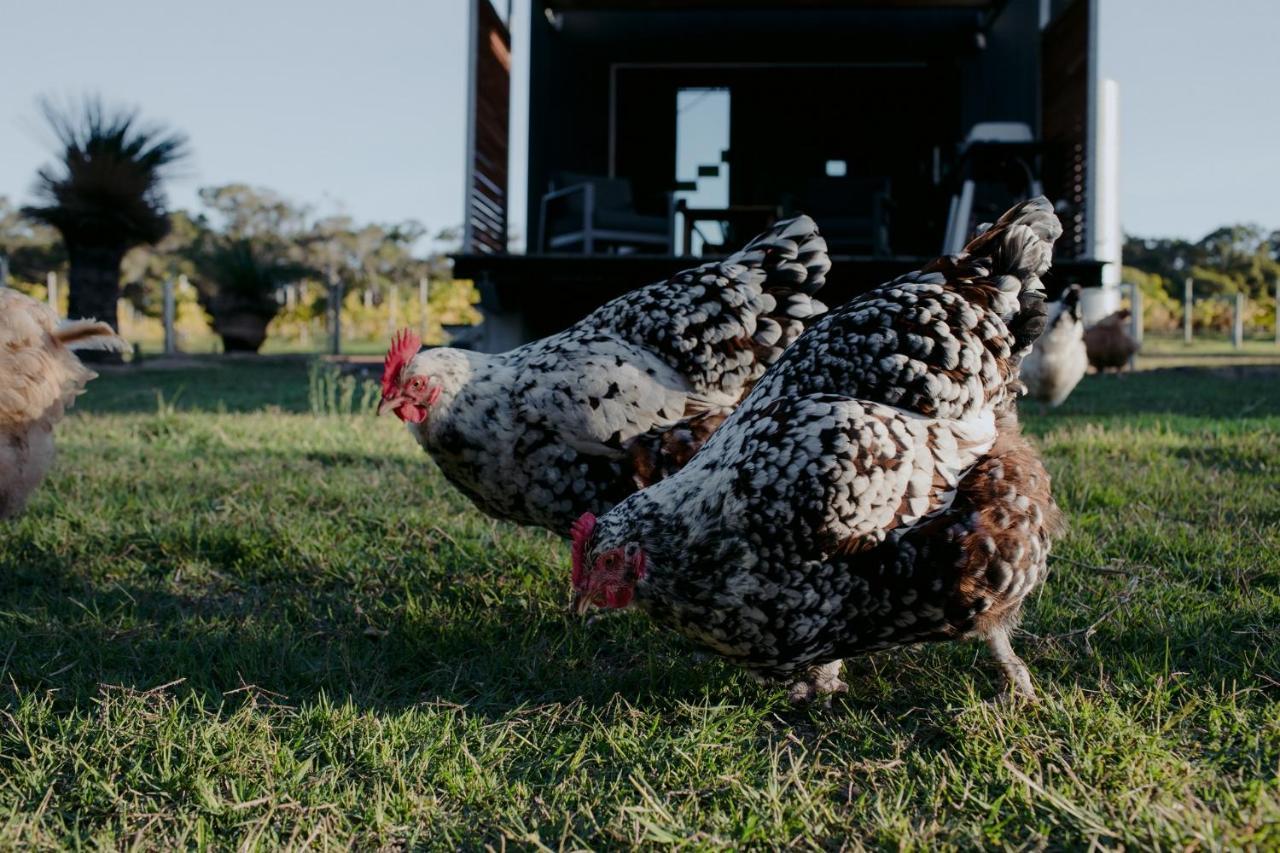 Barn Hives ยัลลิงอัพ ภายนอก รูปภาพ