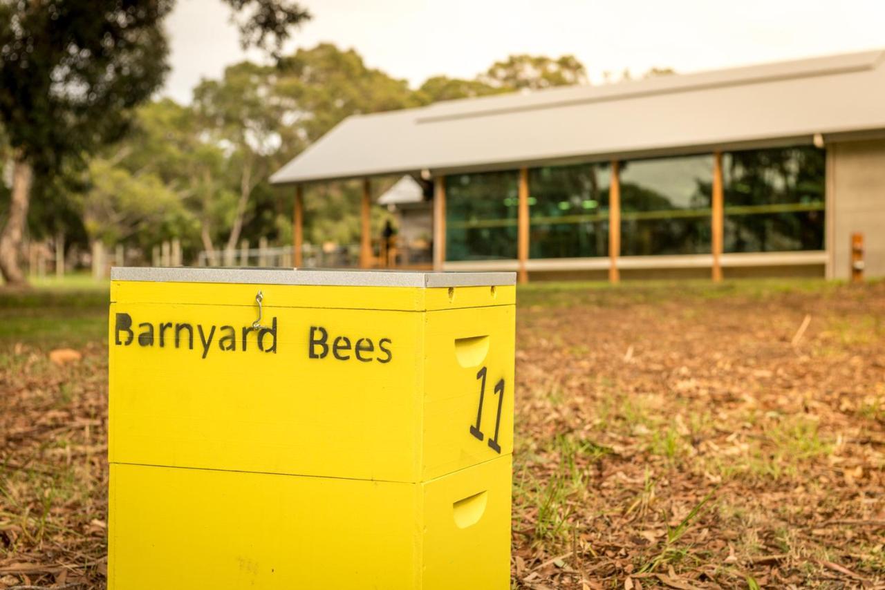 Barn Hives ยัลลิงอัพ ภายนอก รูปภาพ