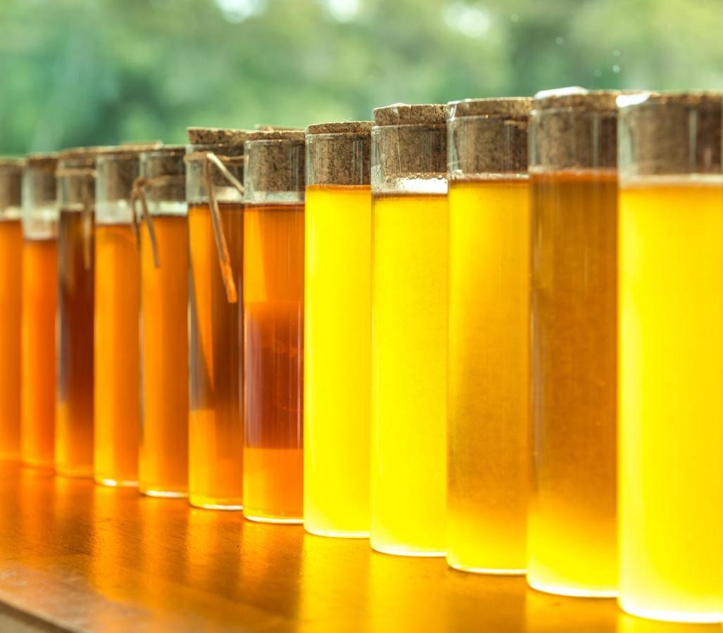 Barn Hives ยัลลิงอัพ ภายนอก รูปภาพ