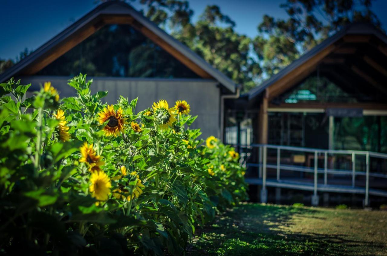 Barn Hives ยัลลิงอัพ ภายนอก รูปภาพ